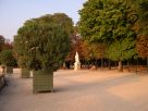  jardin du Luxembourg, lumière rasante